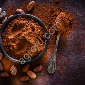 Какао порошок алкализованный