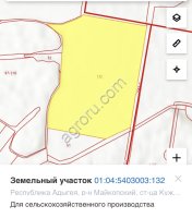 Яблоневый сад 23га