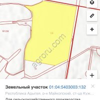 Яблоневый сад 23га