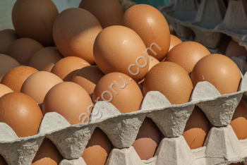 Куриное яйцо белое/коричневое.