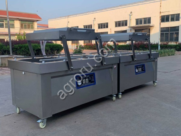Двухкамерная вакуумная упаковочная машина LDZ600/2S