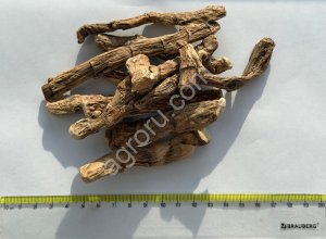 Аира корень
