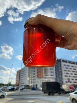 Мёд разных сортов премиум качества