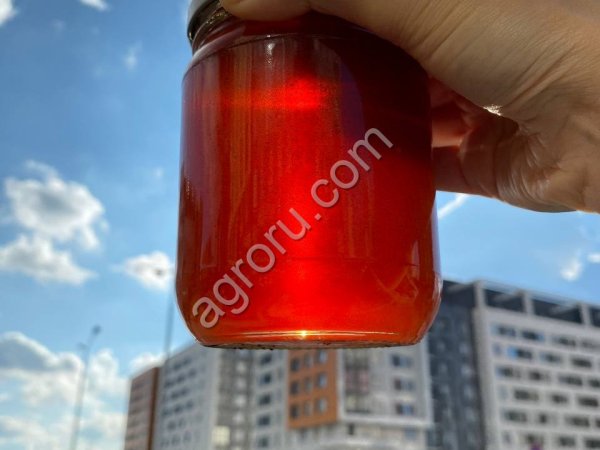 Мёд разных сортов премиум качества