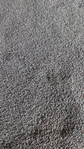 Чечивица красная