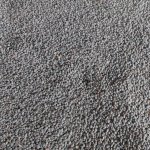 Чечивица красная