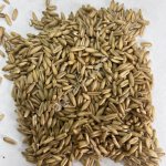 Овсяная крупа, ГОСТ