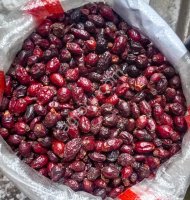 Плоды шиповника сушеные
