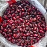 Плоды шиповника сушеные