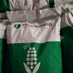 Семена кукурузы краснодарский 291