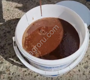 Куриный жир