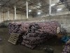 Картофель - АРИЗОНА КОЛОМБО МАНИФЕСТ