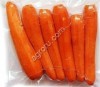 Мини линия для мойки, очистки и вакуумирования картофеля, моркови,свеклы