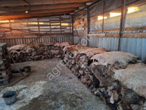 овечьи шкуры мокросол