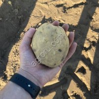 Крупный Картофель