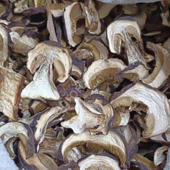 Белый гриб сушеный