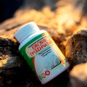 Гриб Ежовик Гребенчатый 30 кап ПК,