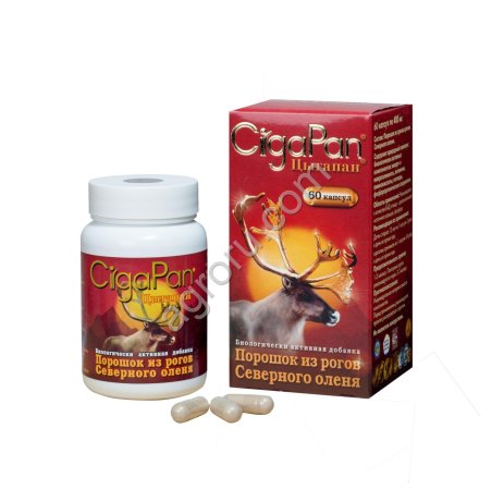 Цыгапан (взрослый)