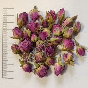 Роза дамасская