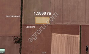дом в Крыму и земля 457сот