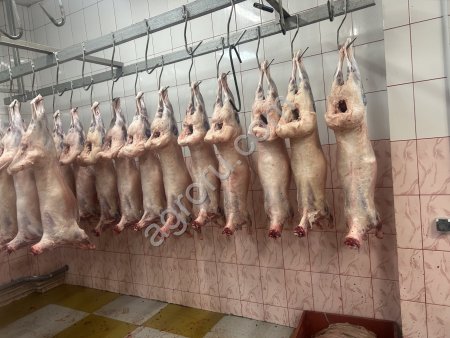 Баранина в тушах/полутушах