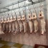 Баранина в тушах/полутушах