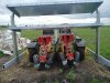 Рассадопосадочная машина solan S219K