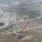 Производство саженцев с закрытой корневой системой