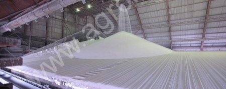 аммофос (NP 12:52)