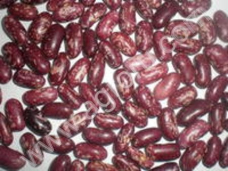 Красная фасоль