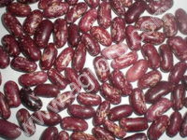 Красная фасоль