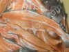 Лосось (субпродукты) - брюшки, хребты, головы,тримминг
