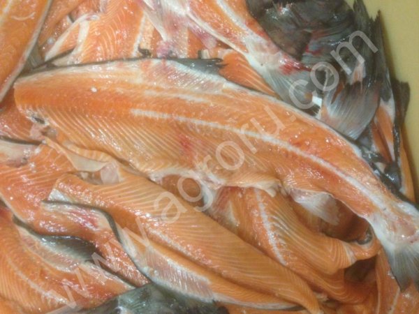 Лосось (субпродукты) - брюшки, хребты, головы,тримминг