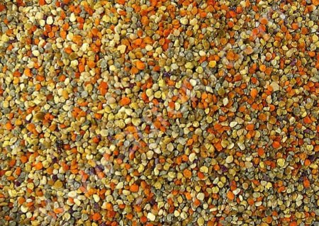 пыльца северная, весенняя и летняя 2018