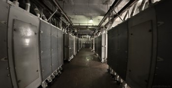 Региональное правительство ищет выход