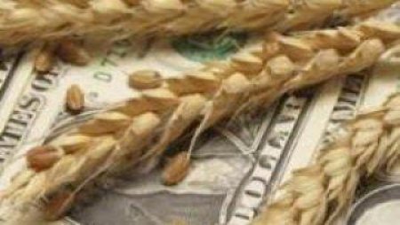 Мировой рынок пшеницы: засуха и экспортные показатели поддержали котировки