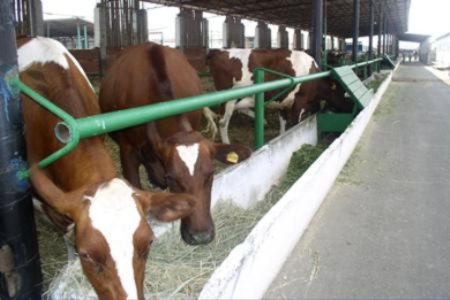 Минсельхоз Ставрополья поддержит фермеров