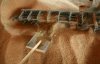 Прогнозы Минсельхоза США улучшаются