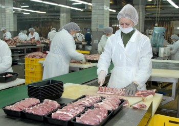 Мясо освободили от пошлин, - Краткий обзор рынка мяса