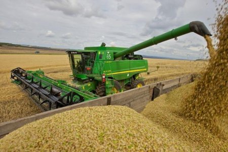 На Дону собрано уже почти 5,5 млн тонн зерна нового урожая