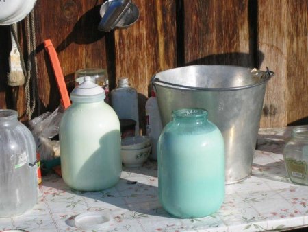 Производство молока в 2015 году сократится на 4,5% — эксперт ФАО