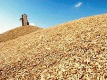 Аграрный фонд Украины закупит 2 млн тонн пшеницы