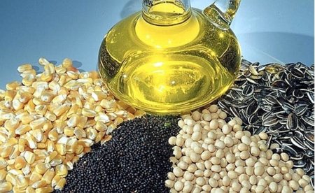 Предложение в масложировой отрасли России в 2010 г снизилось на 7%