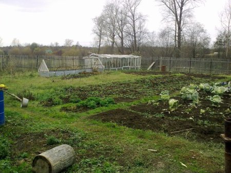 В Бурятии владельцам огородов помогут уйти от налогов