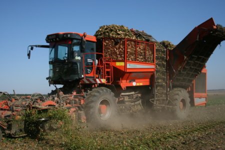 В Татарстане сахарной свеклы убрано на 16% площади