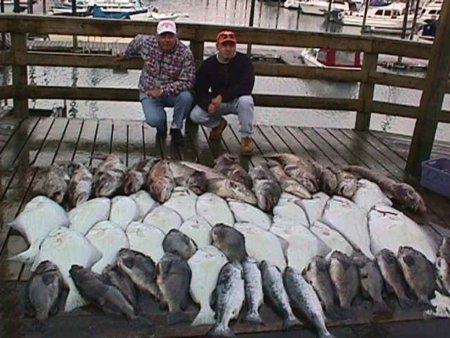 США: ограничение промысла палтуса