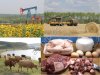 действующий имущественный комплекс в ой области