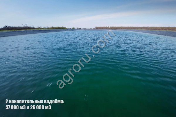 Орехоплодныи сад миндаля и фундука