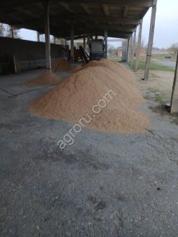 Рис сырец сорт Казанова