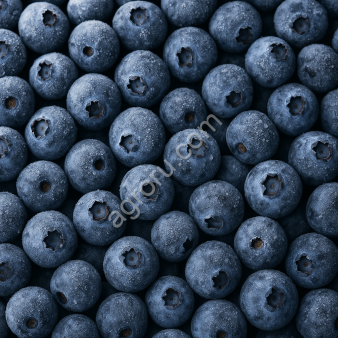 Замороженная голубика